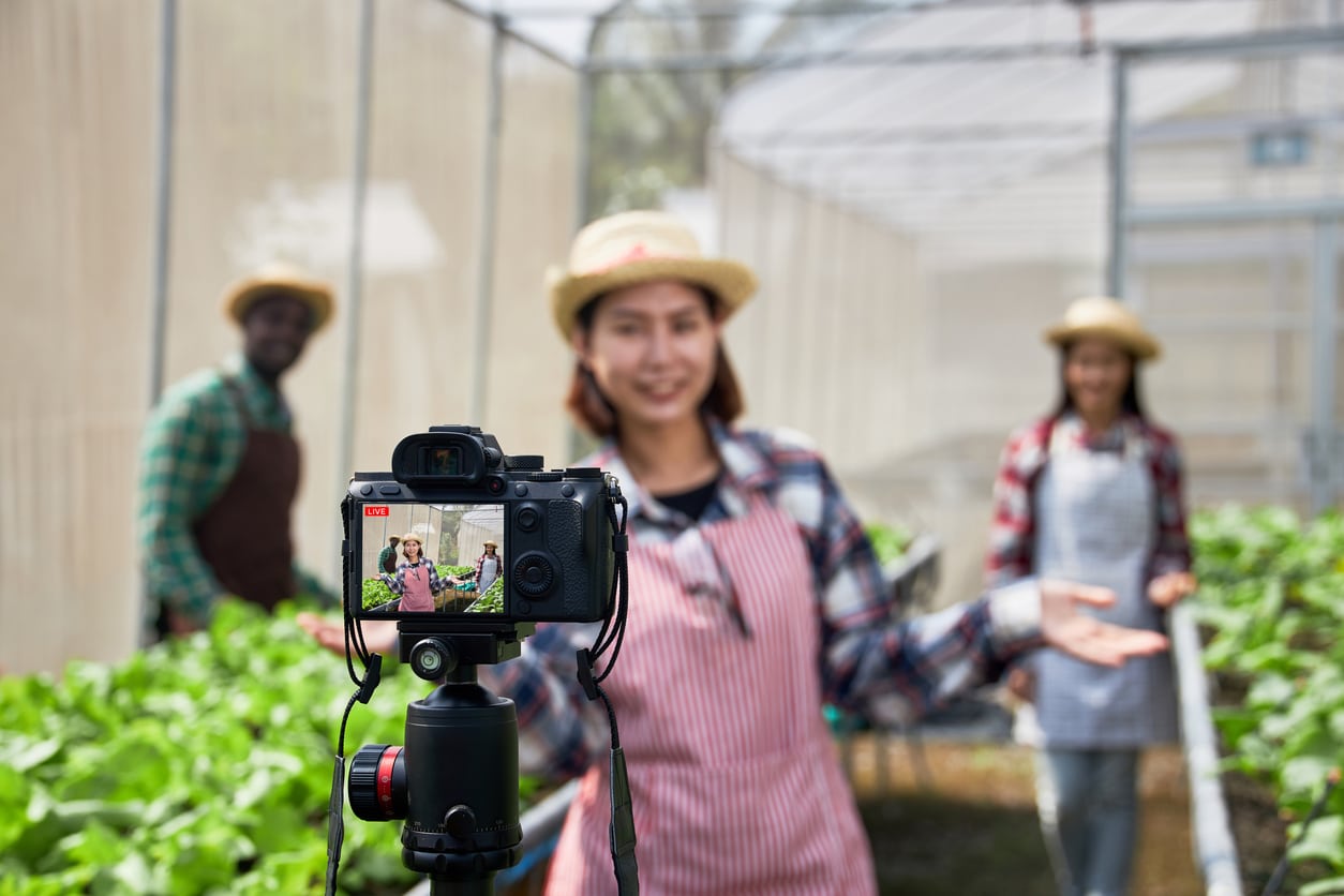 The Influencer Top 10: Gardening