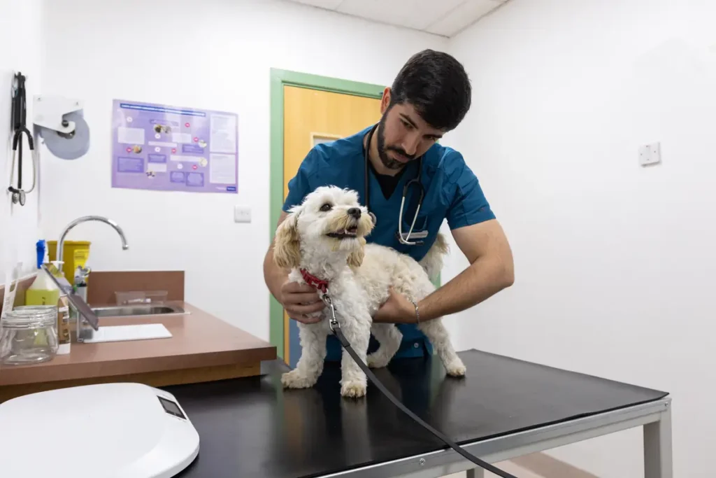Paws & Co: launching Yorkshire’s only 360 pet-care hub
